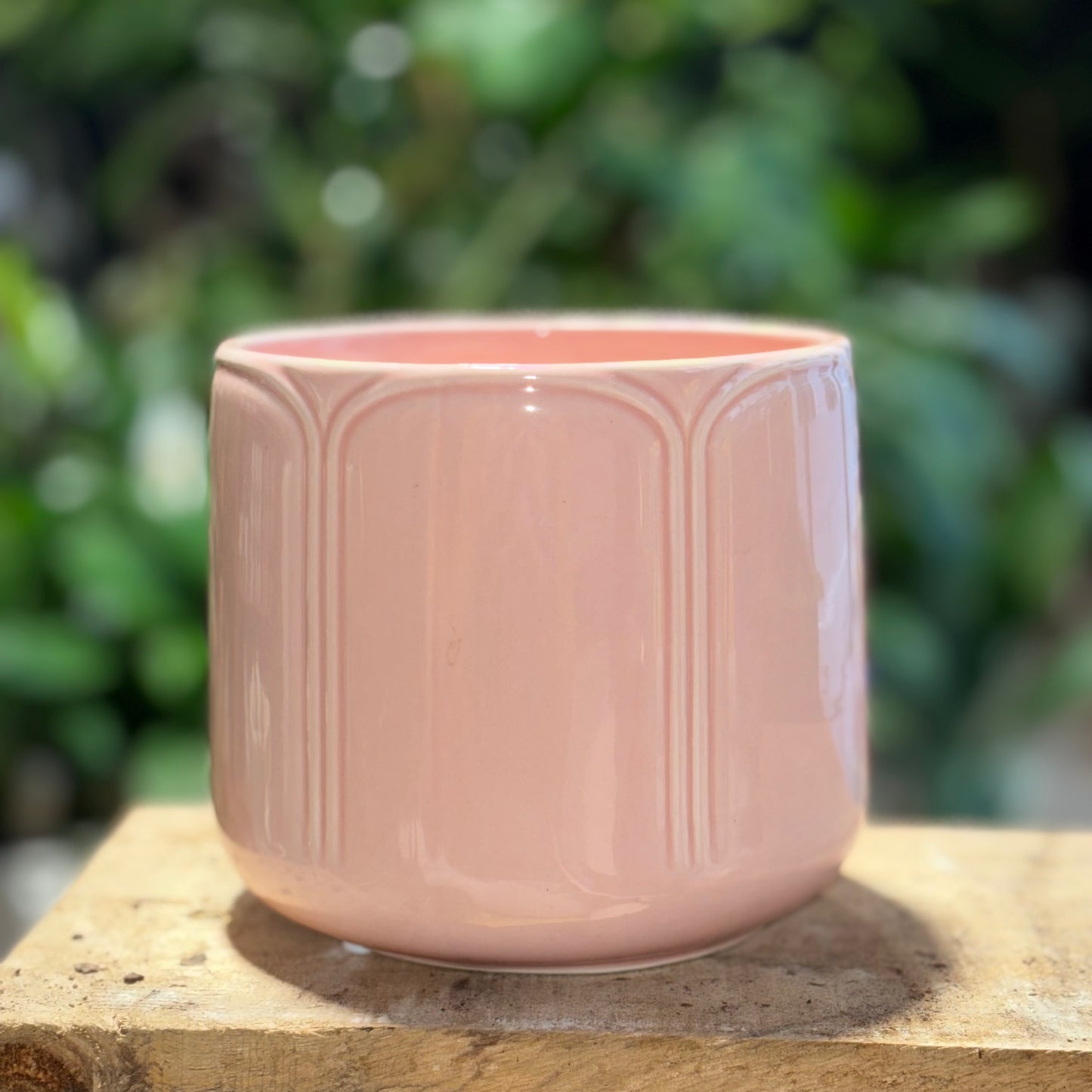 Genevieve Pot 13cm – Decorative Indoor Plant Pot