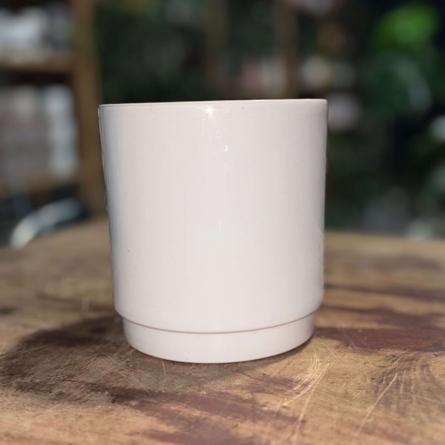 Standard Sam Ceramic Pot -12cm