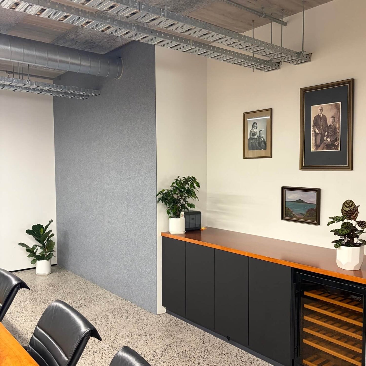 indoor Plants for Meeting rooms and conference areas