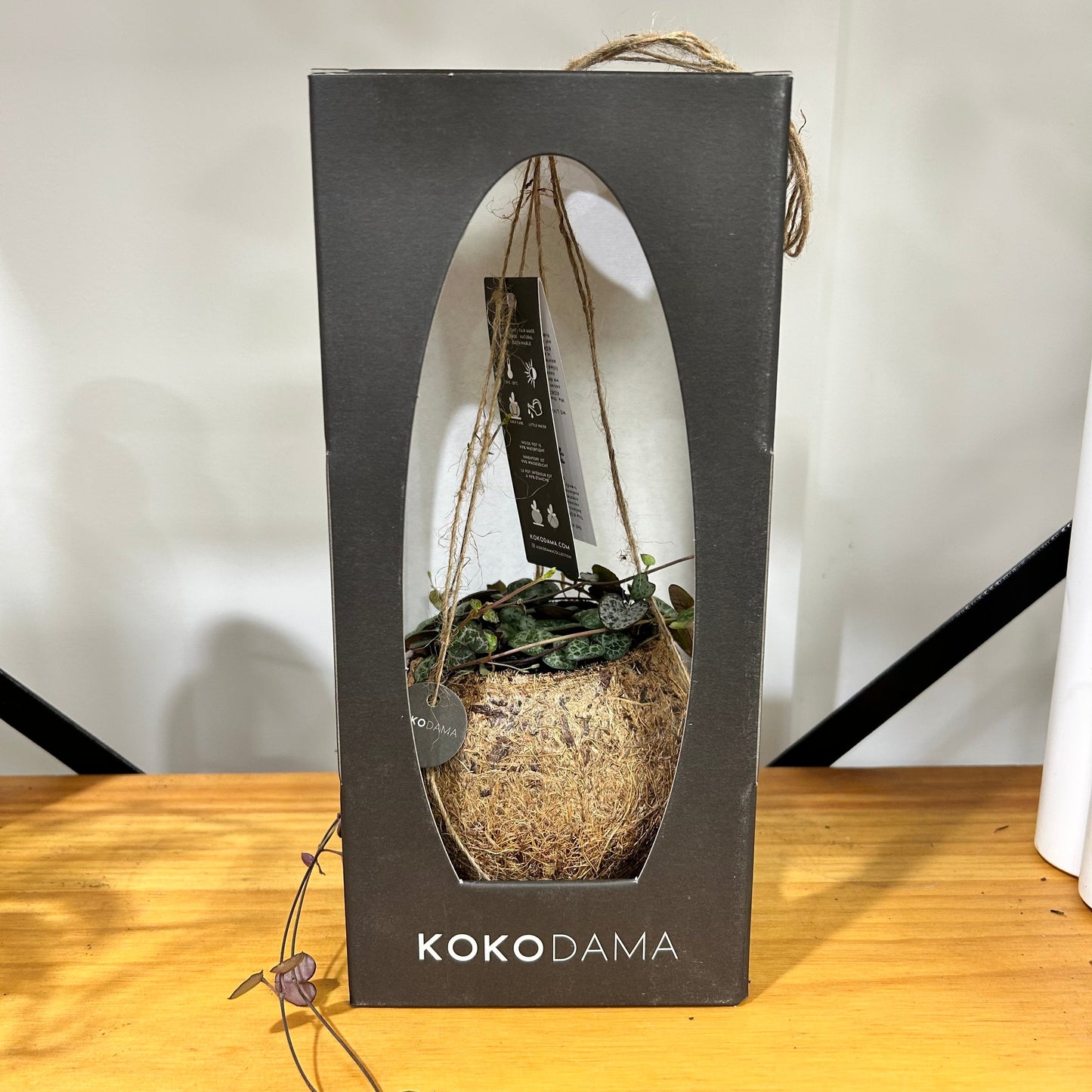 Kokodama & Chain of Hearts - Great Gift Idea