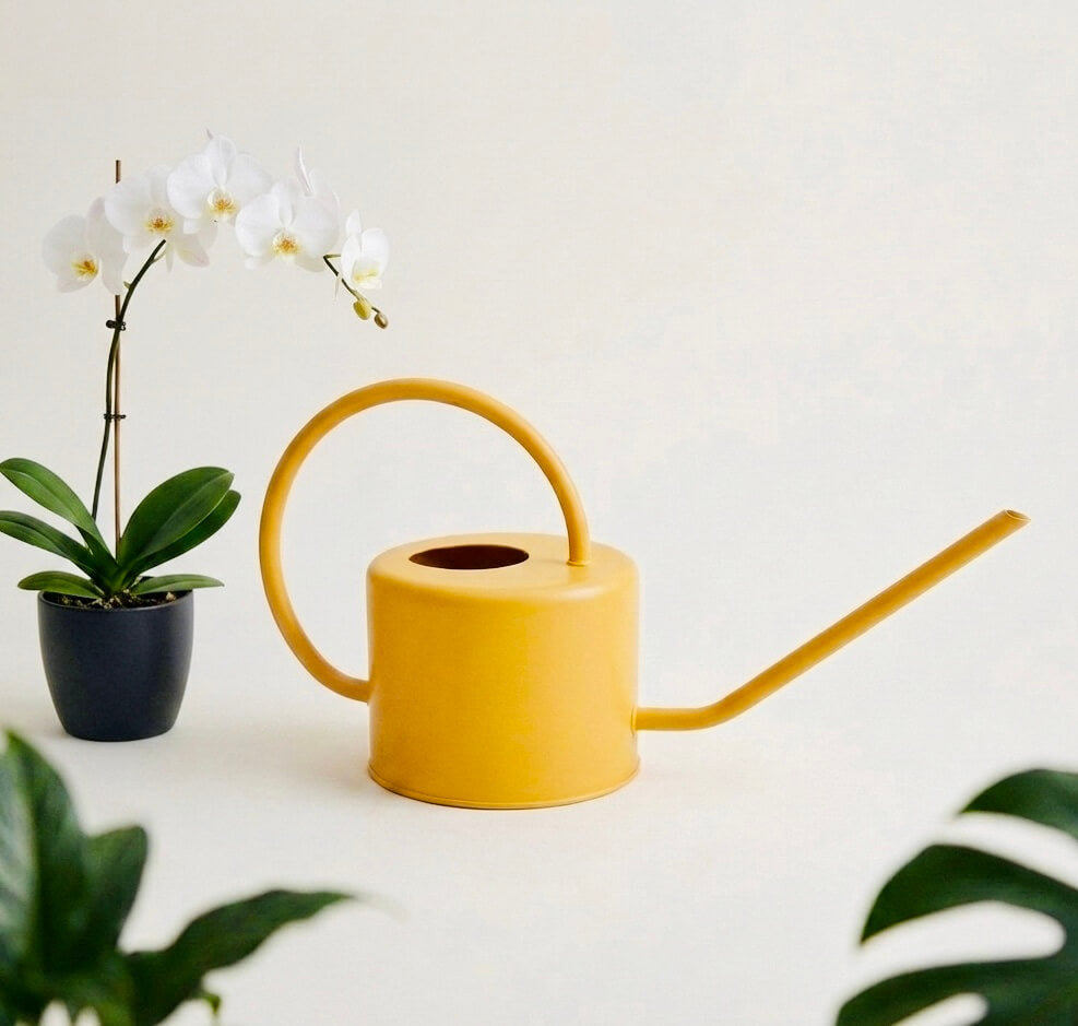 Why the Right Watering Can Makes All the Difference