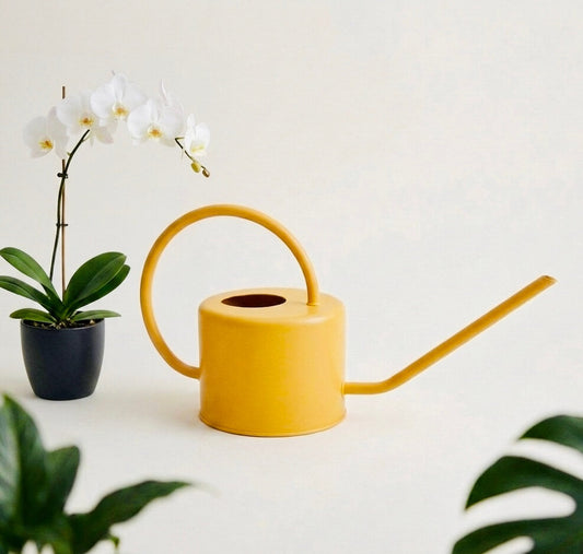 Why the Right Watering Can Makes All the Difference