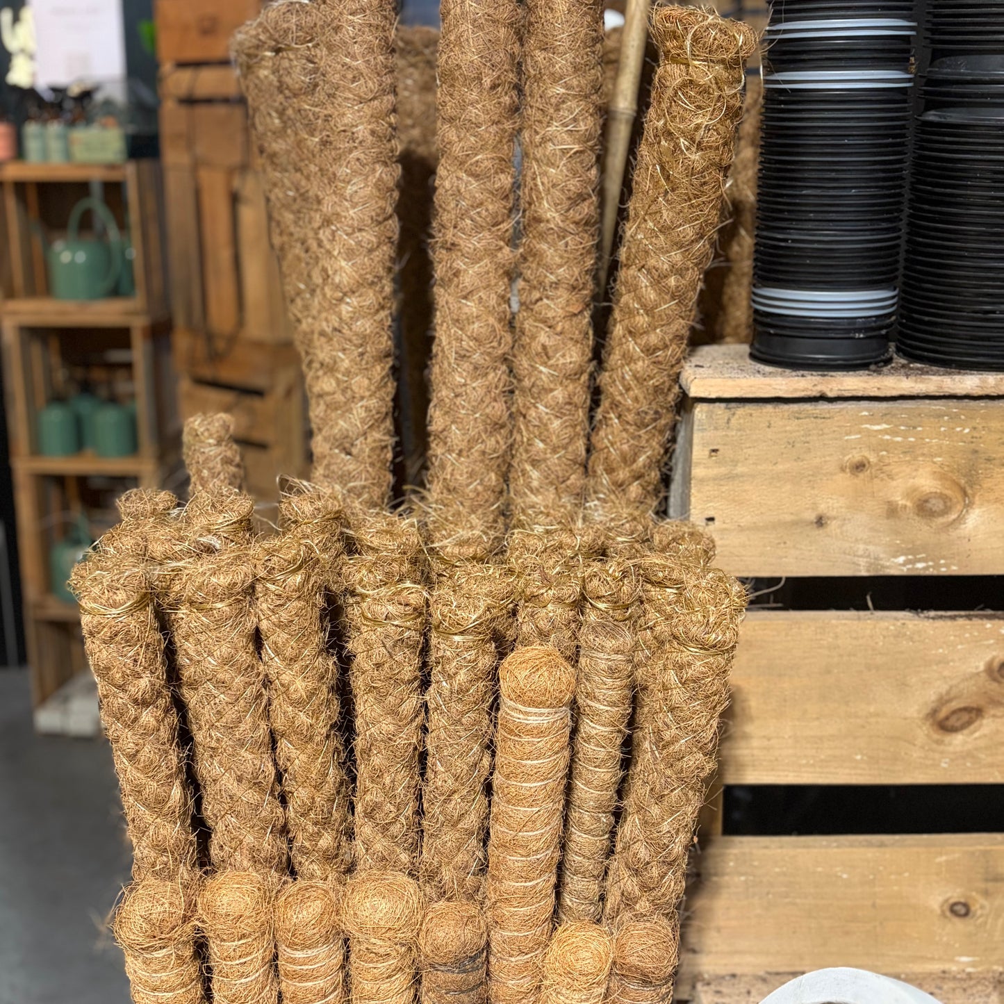 Coir Pole - Indoor Plant Support