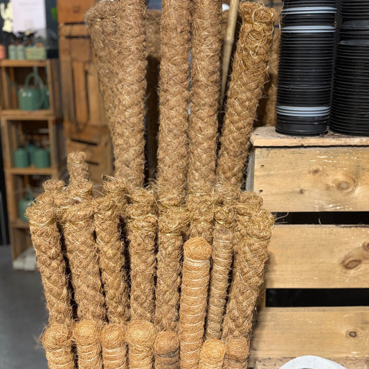 Coir Pole - Indoor Plant Support