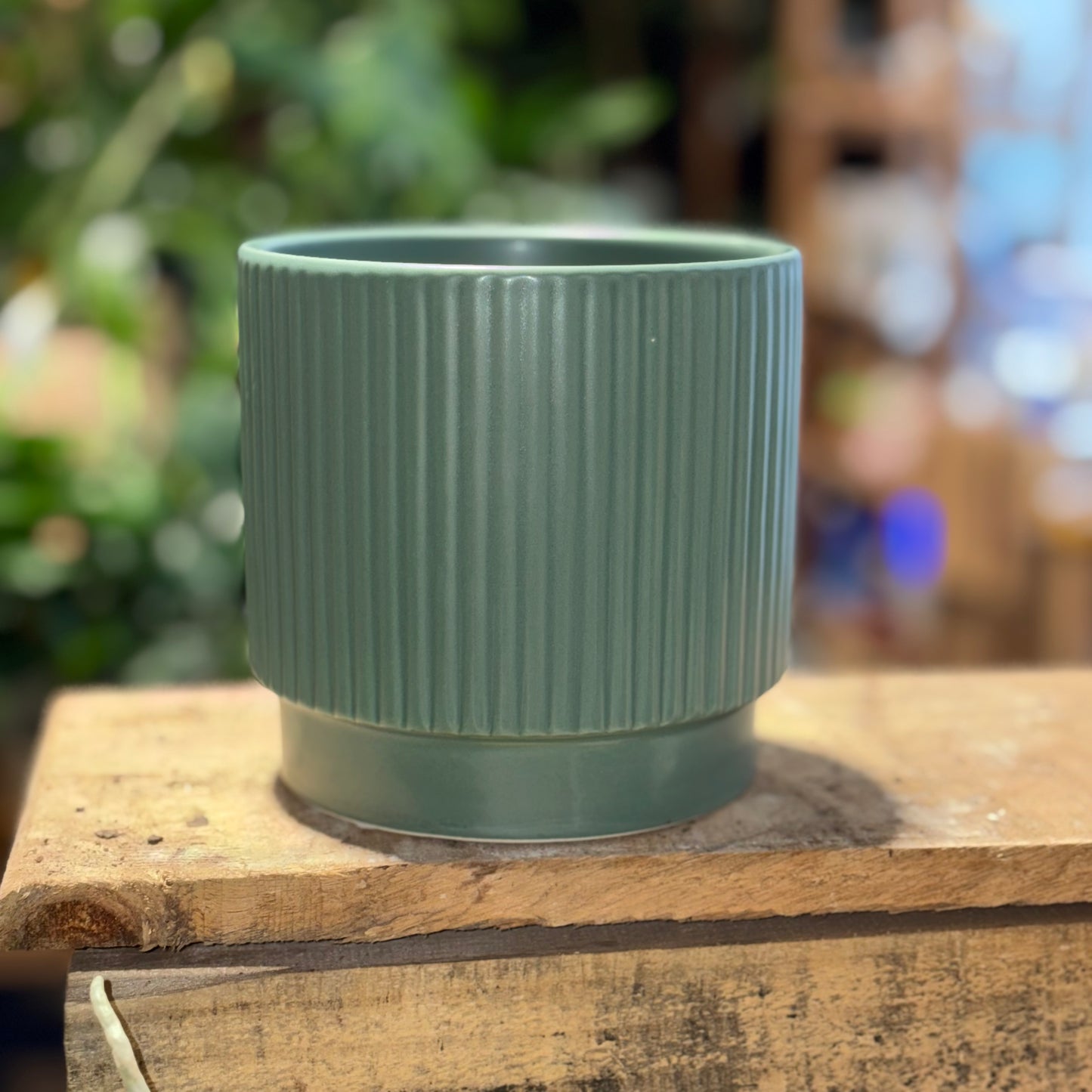 Juno Pot 13cm
