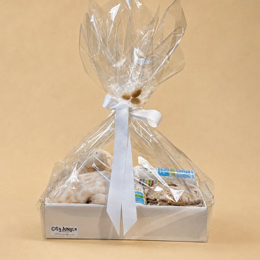 Gift hamper for newborn babies Auckland 