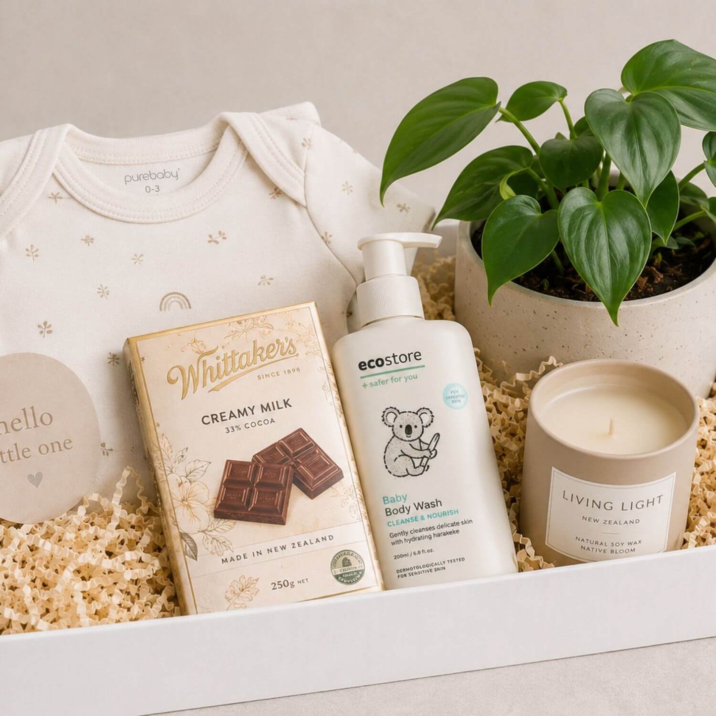 New Baby Plant Gift Hamper – Auckland Gift Delivery NZ
