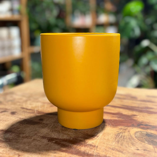 Buffalo Ceramic Urn Pot - 14cm