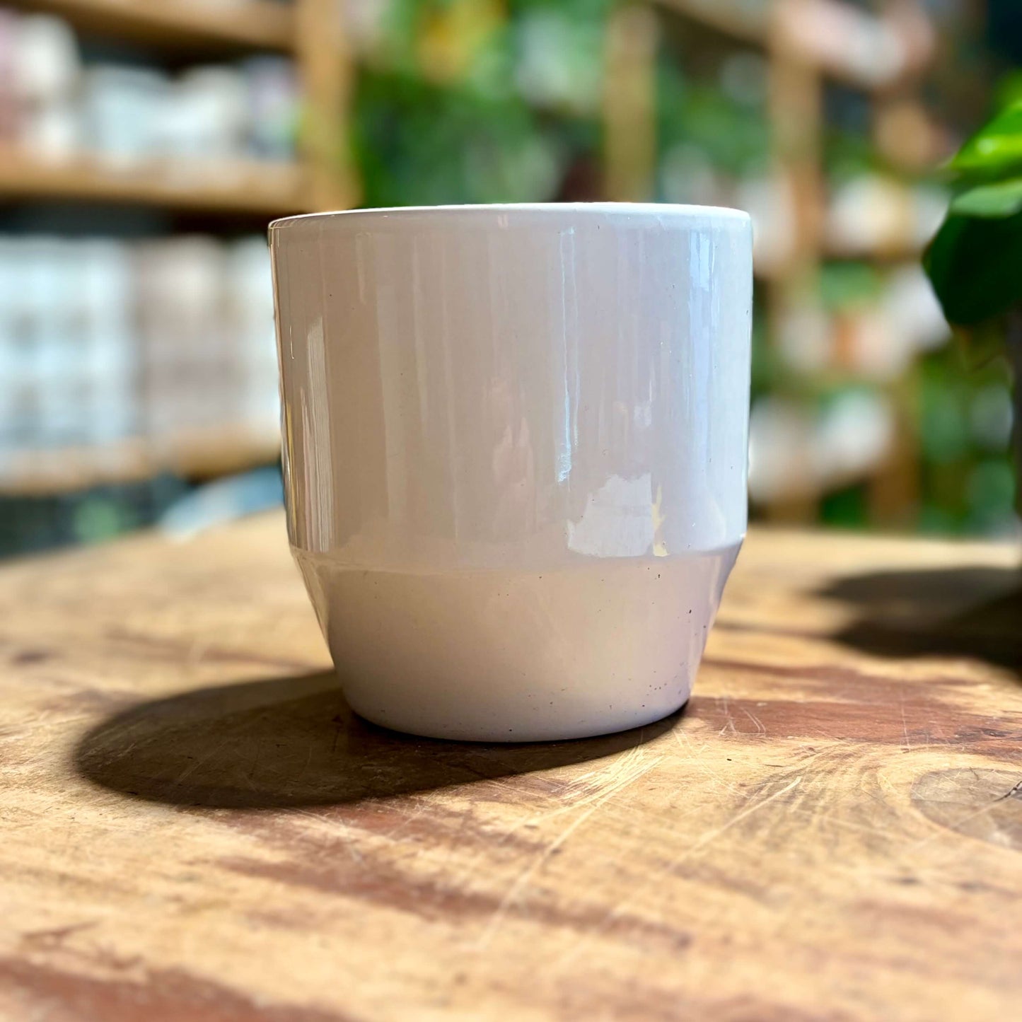 Sophia Tapered Pot - 11cm