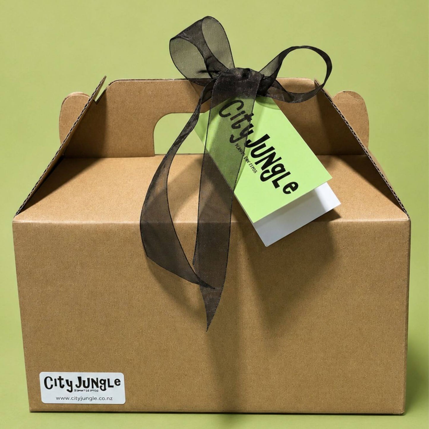 Plant Care Package