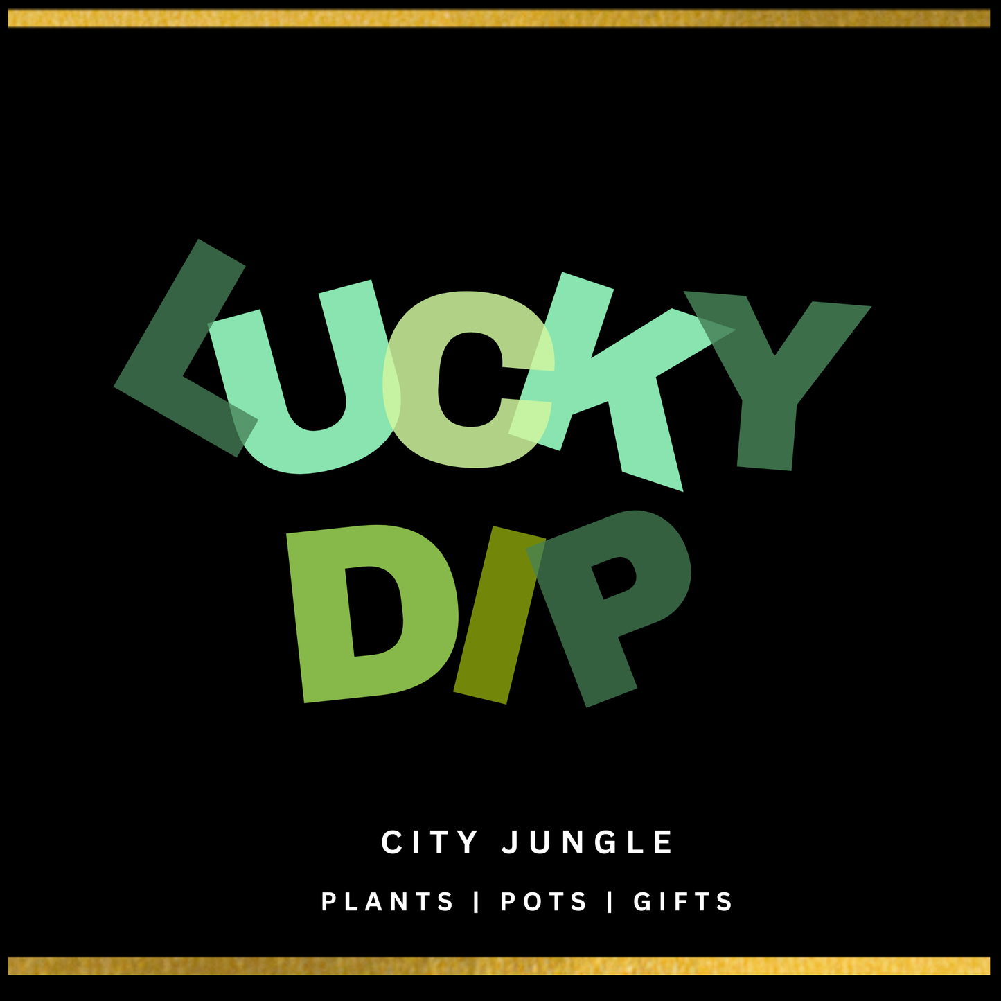City Jungle Luck Dip Package