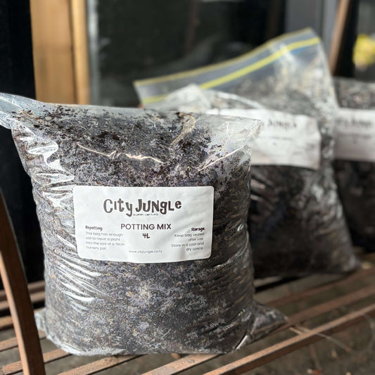 A clear plastic bag filled with dark potting mix sits on a wooden shelf. The front bag has a white label reading 'City Jungle' and 'POTTING MIX 4L'.